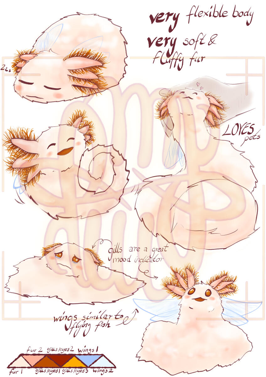 full body, creature, axolotl, minimal shading, creature, reference sheet