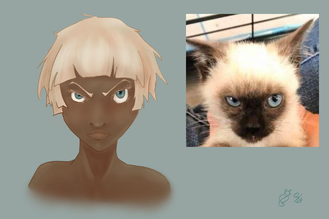 cat into human, human, bust, simple shading